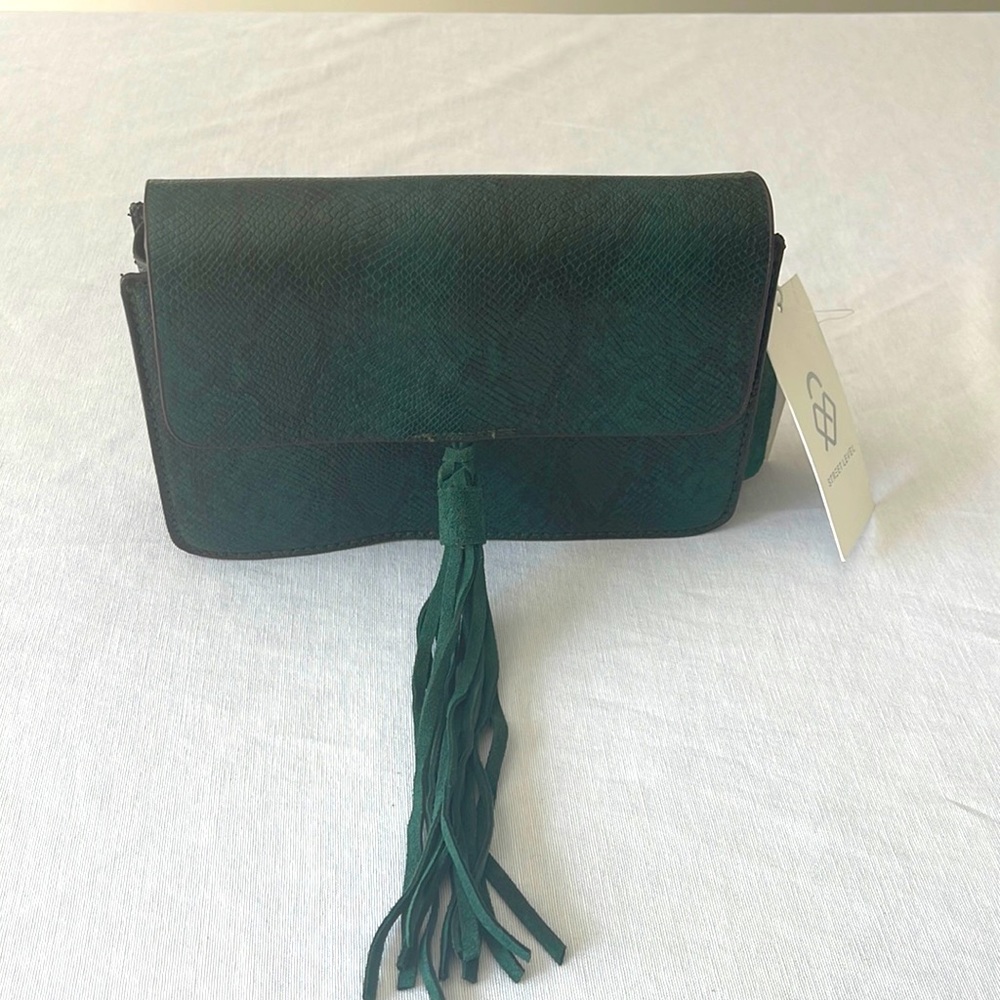 Snakeskin Green purse
